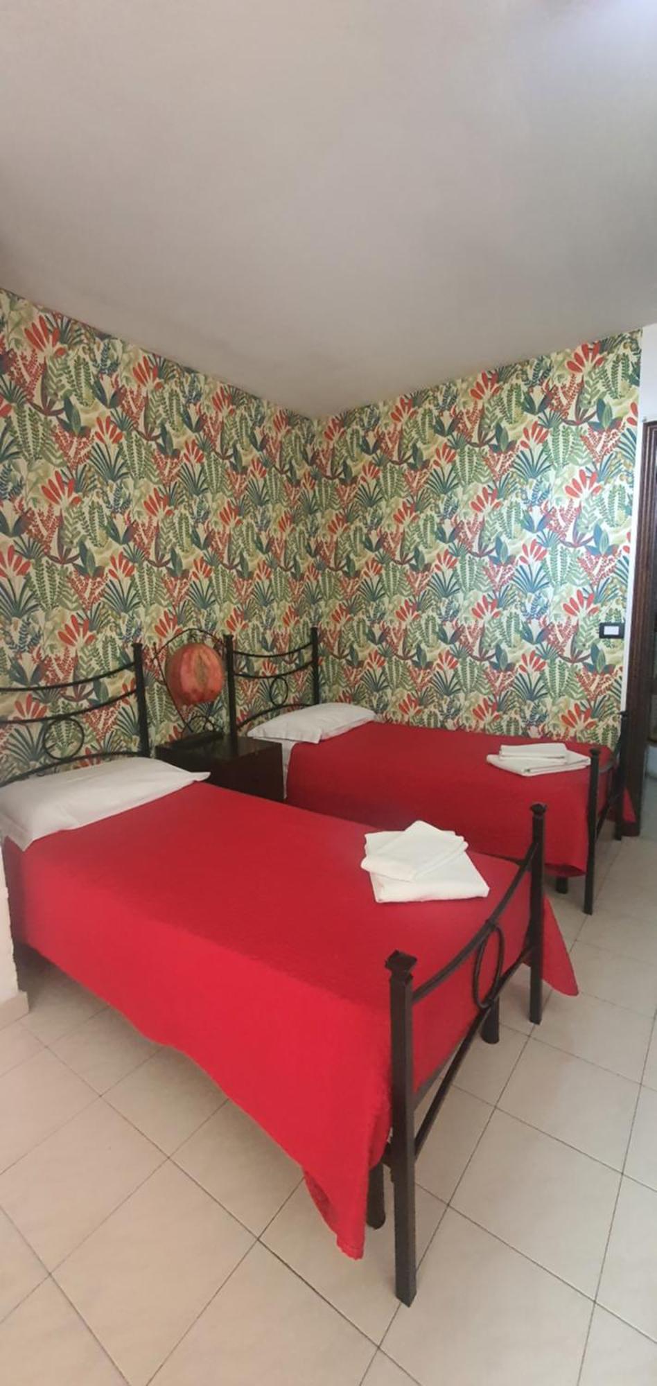 Central Apartment Apartment *